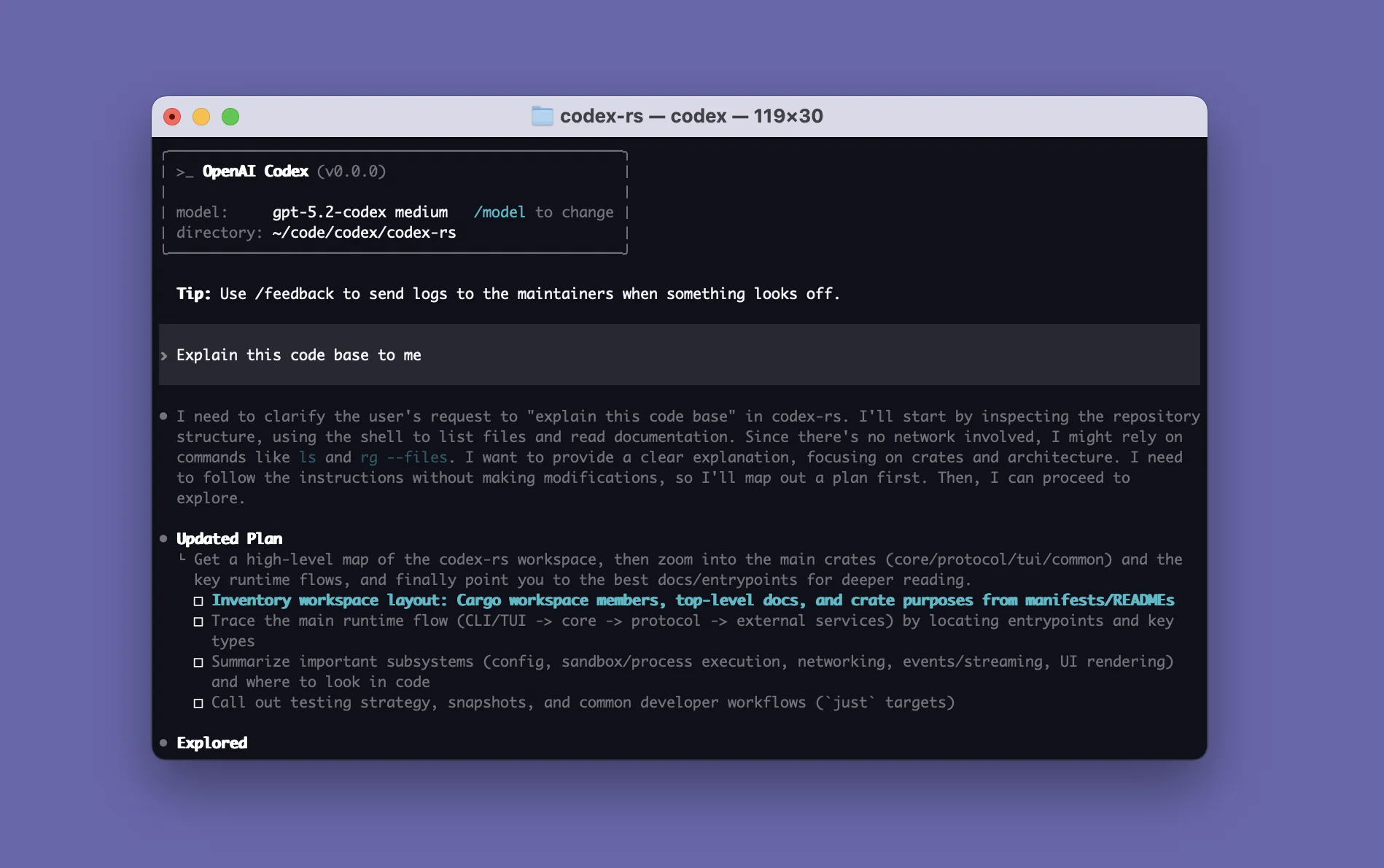 OpenAI Codex CLI interface splash and terminal agent surface
